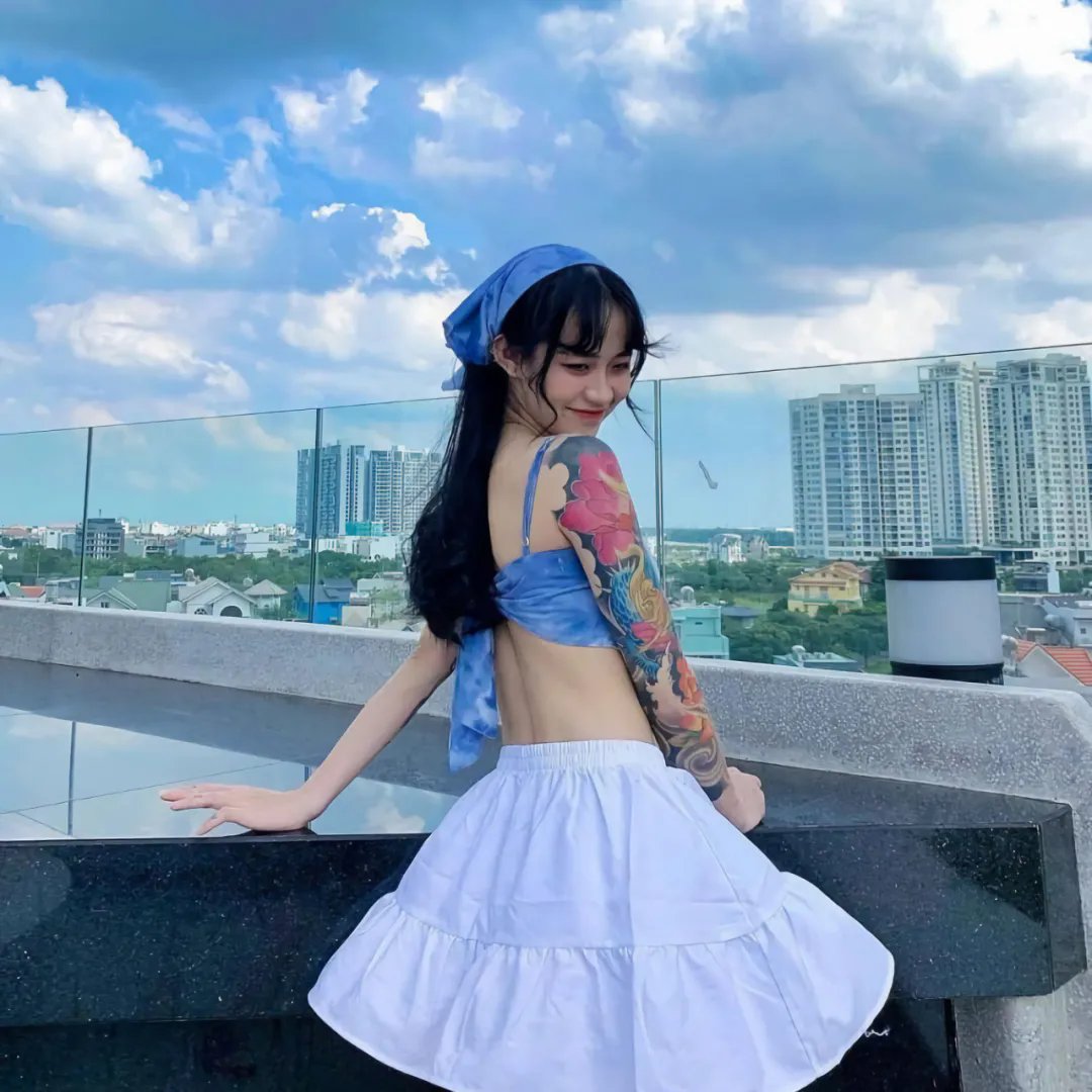 翱翔于天际的夜鹰
