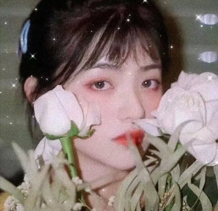 百劫红颜不了情